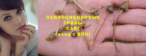 гидра Алексин