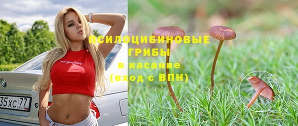 круглые Алзамай